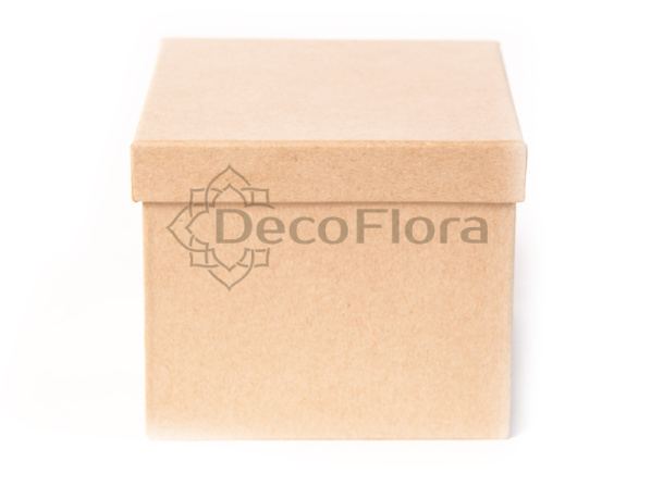 Коробка из набора из картона квадратная 24*24*19см 