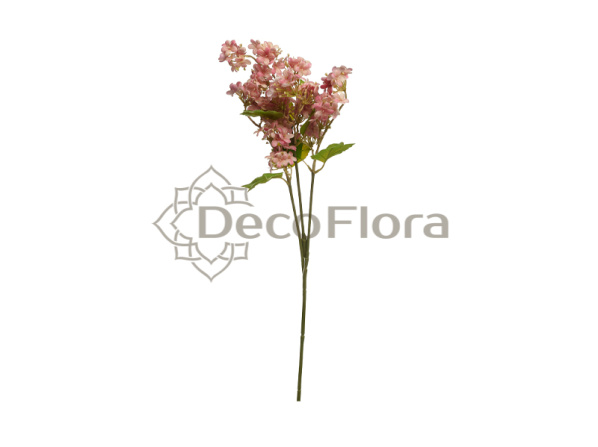 Флокс 65см розовый