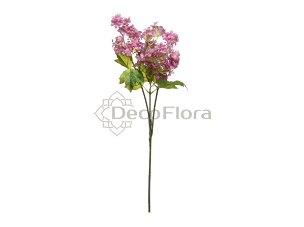 Флокс 65см сиреневый